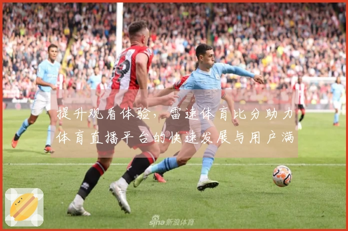 提升观看体验,雷速体育比分助力体育直播平台的快速发展与用户满意度